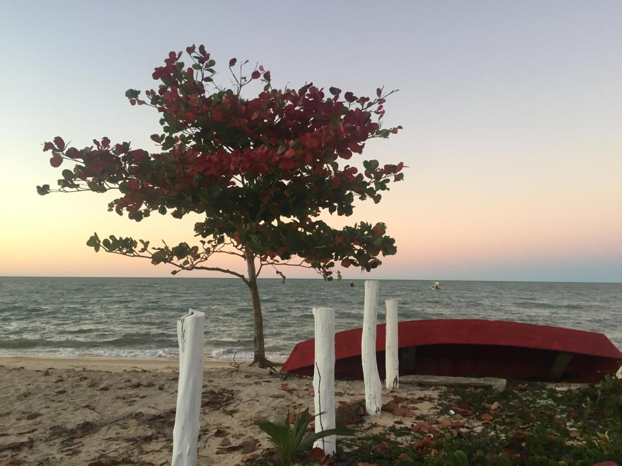 Chales Mata Da Praia Корумбау Экстерьер фото